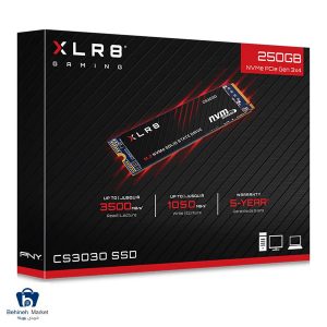 مشخصات، قیمت و خرید اس اس دی اینترنال پی ان وای مدل CS3030 M.2 XLR8 250GB