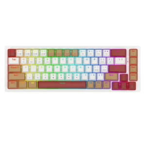 کیبورد گیمینگ ردراگون Rammus K677 WLR Pro